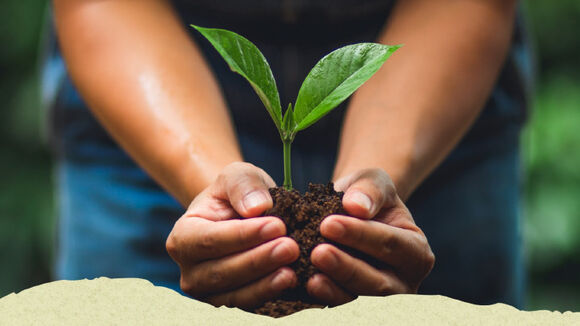 Soil, water, mountains; everything is, as it were, a caress of God. Laudato Si ‘84